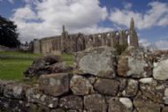 Bolton Abbey